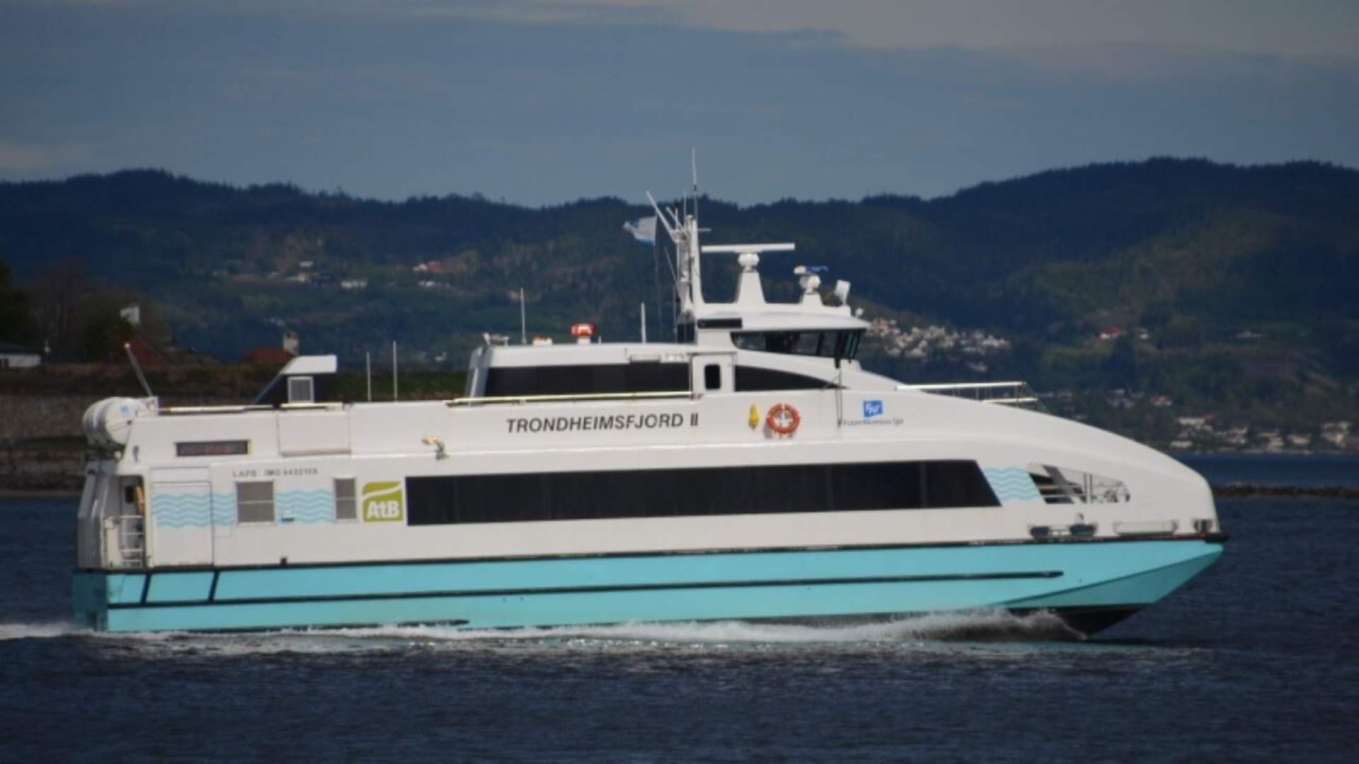 Whale safari: Day trip from Tromsø to Skjervøy