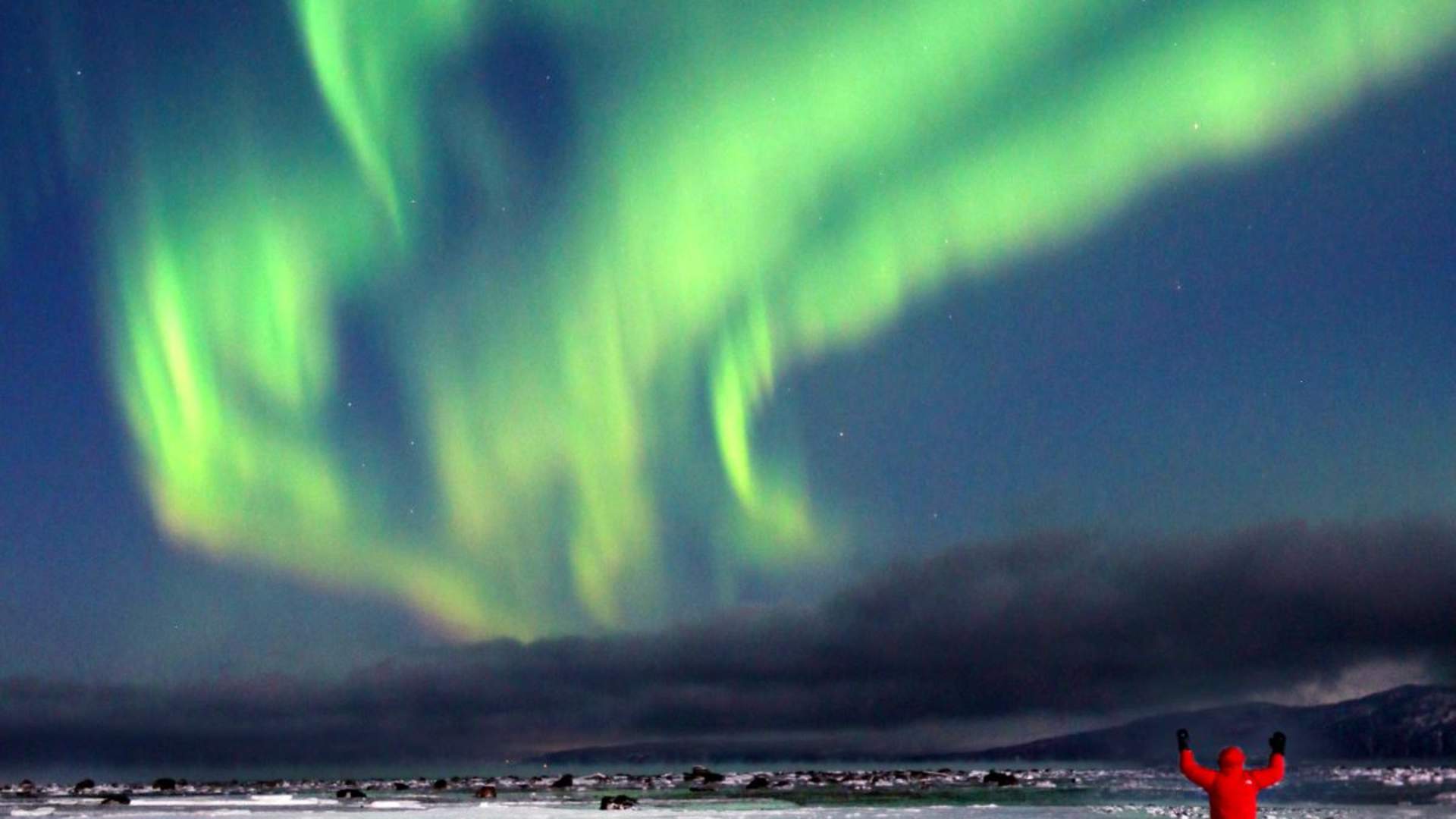 Nordlyseventyret i Narvik