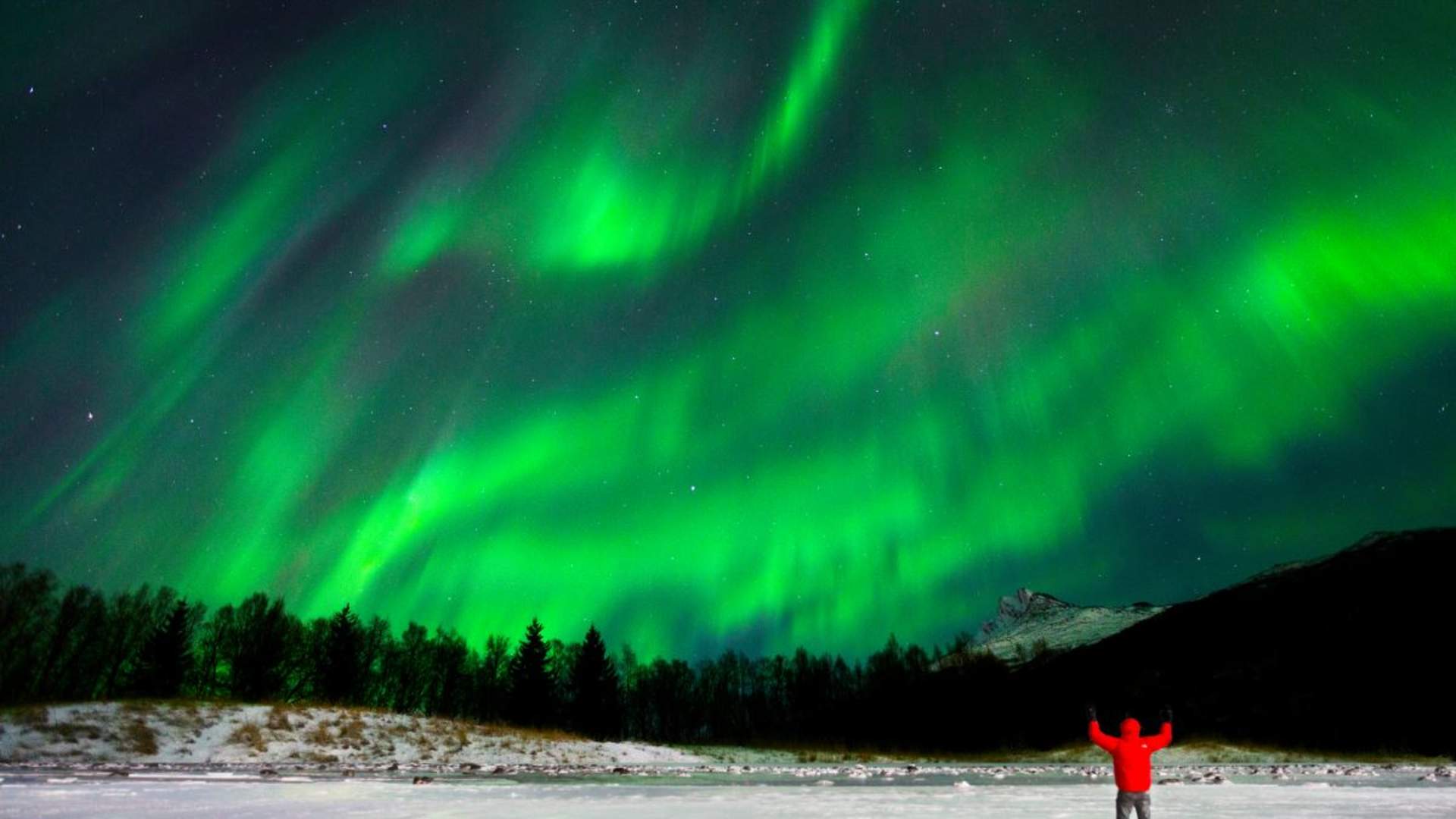 Nordlyseventyret i Narvik