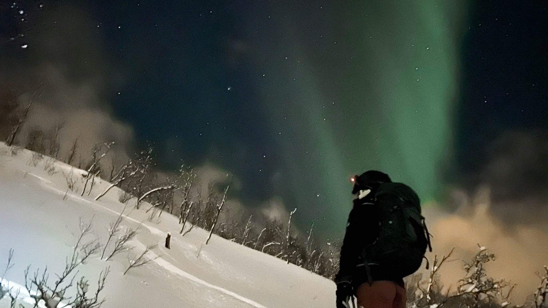 Ski Touring & Courses