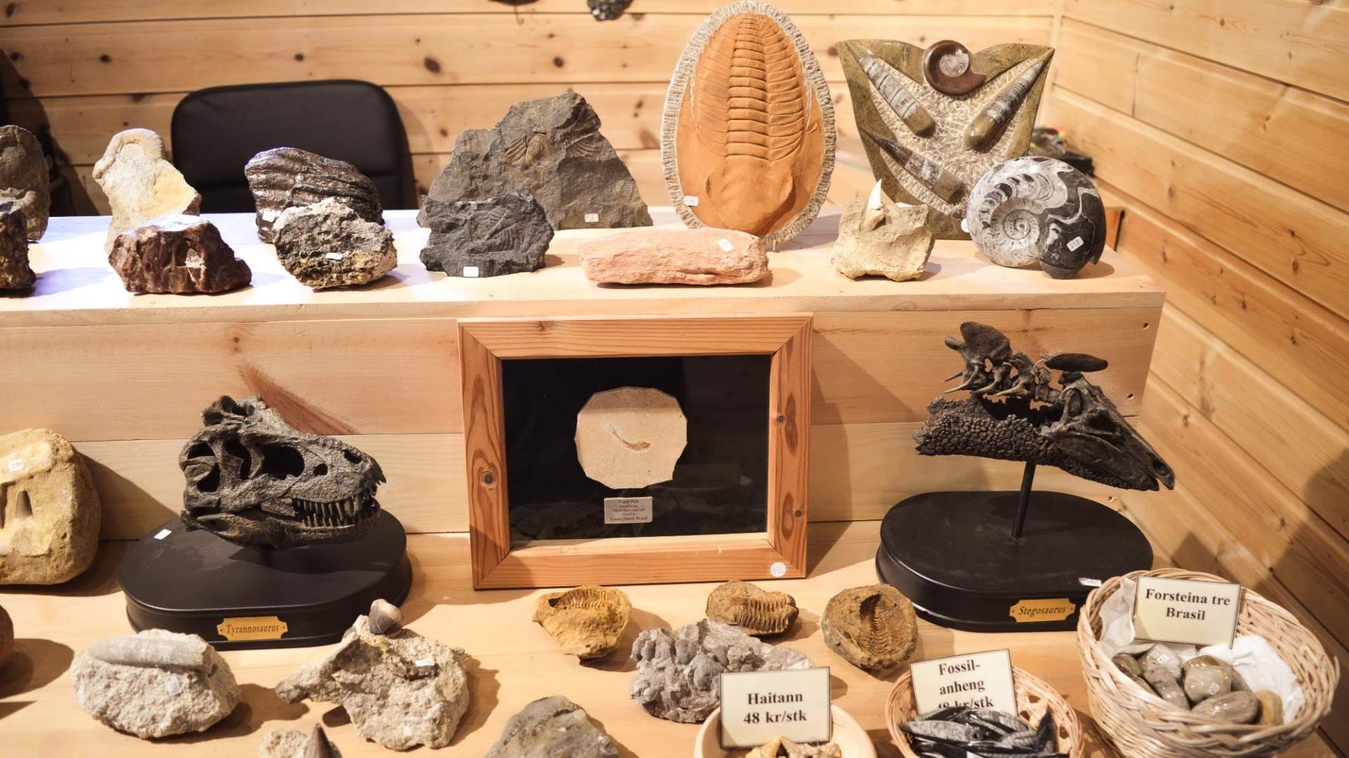 Fossheim steinsenter