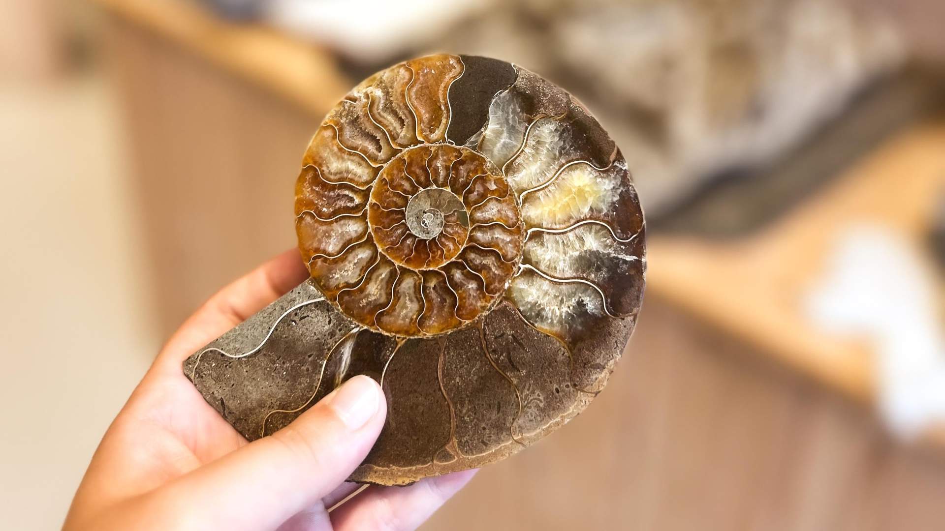 Fossheim steinsenter