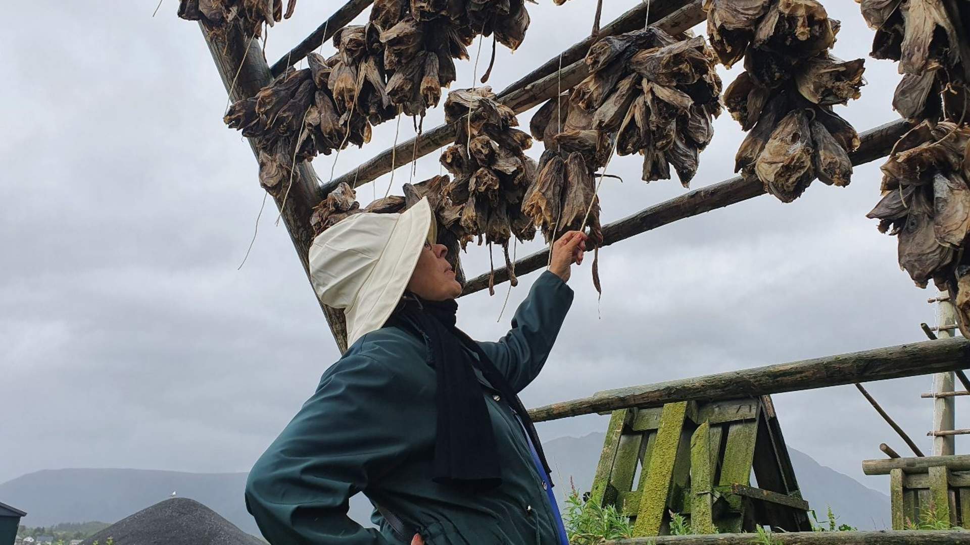 4-dagers nordlysopplevelse i Lofoten (små grupper)