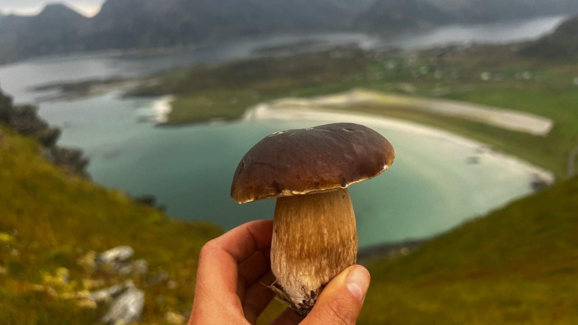 4-dagers nordlysopplevelse i Lofoten (små grupper)