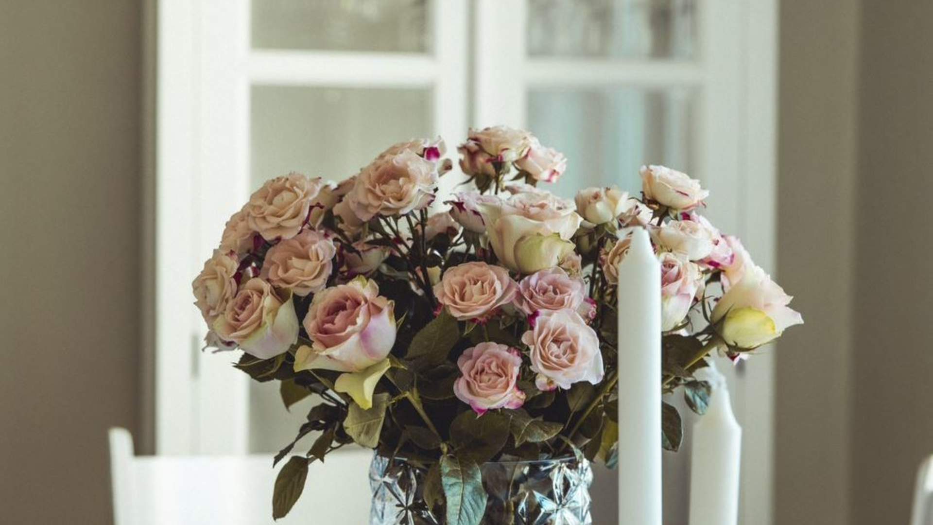 Engen Gård - Stay with a view of the stunning Svartisen glacier