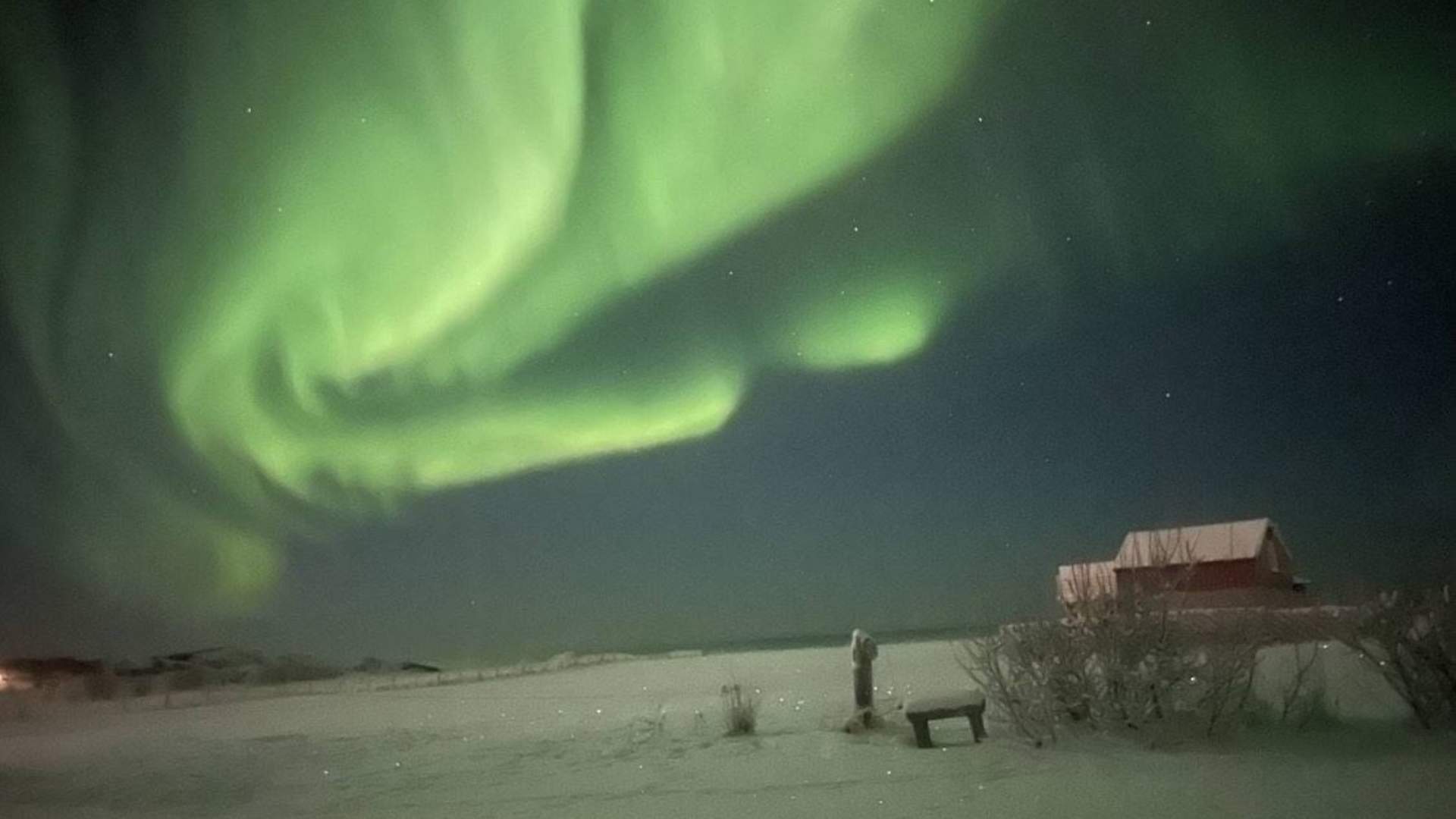 4-dagers nordlysopplevelse i Lofoten (små grupper)