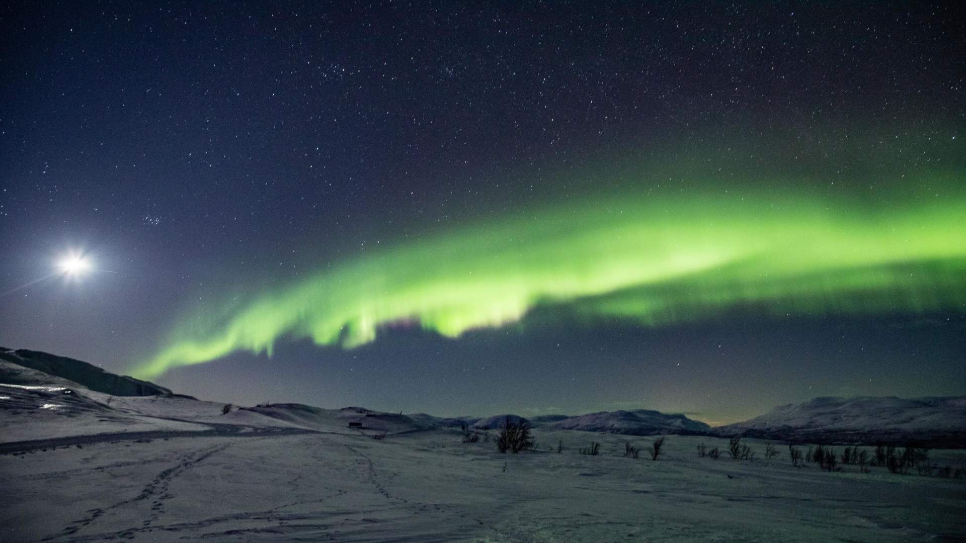 Experience the arctic light on a snowshoe hike in Björkliden
