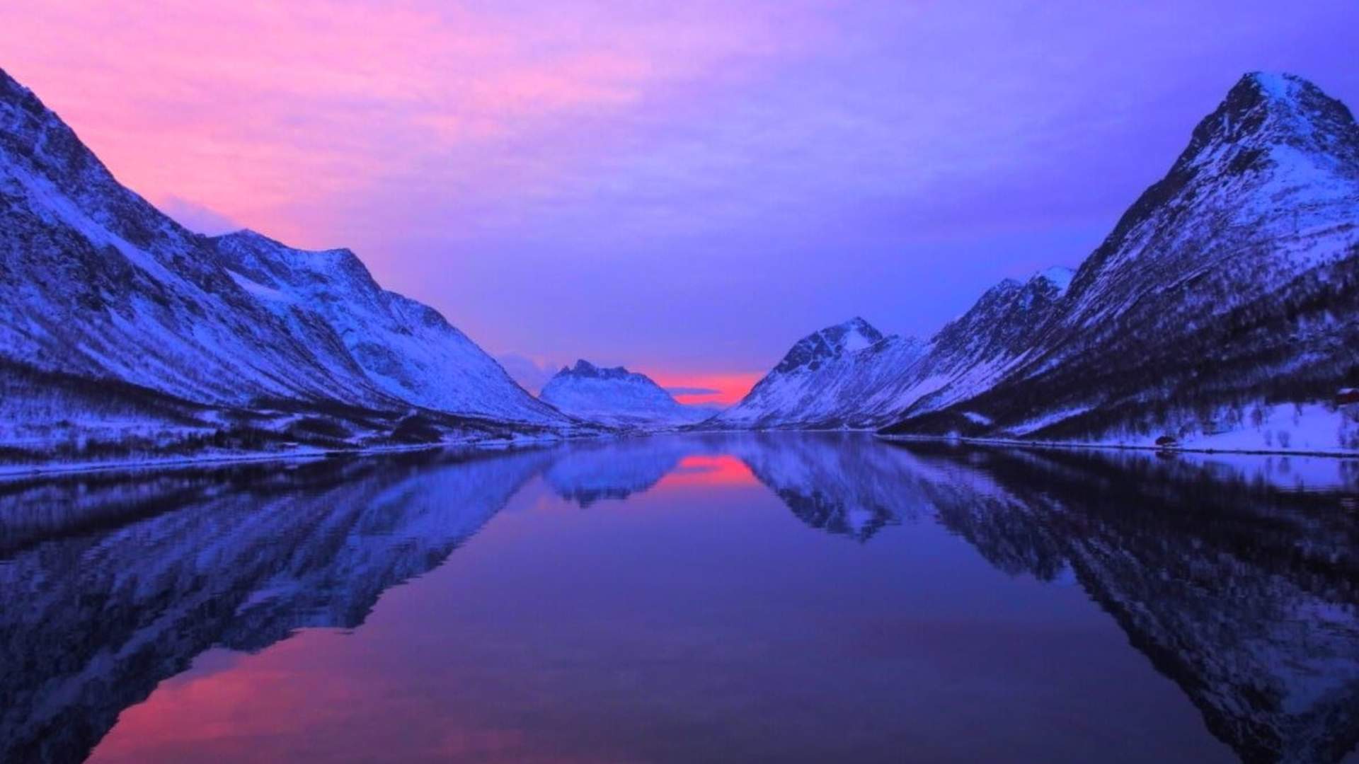 Polar Fjord & Fishing Cruise - All-inclusive