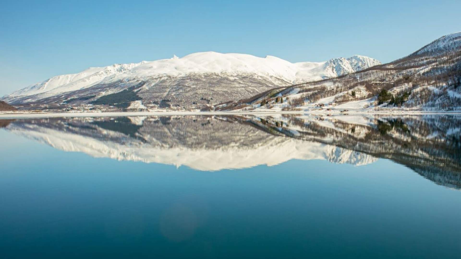 Polar Fjord & Fishing Cruise - All-inclusive