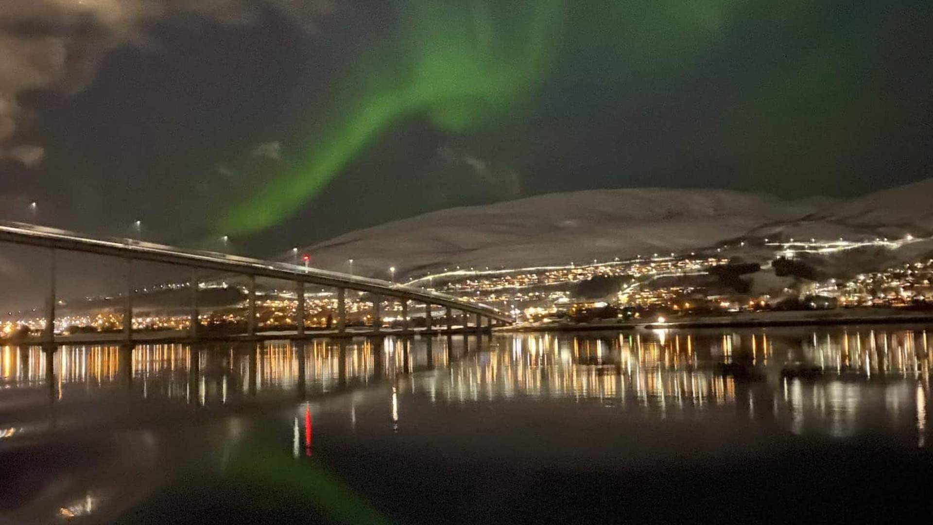 Nordlys middagscruise