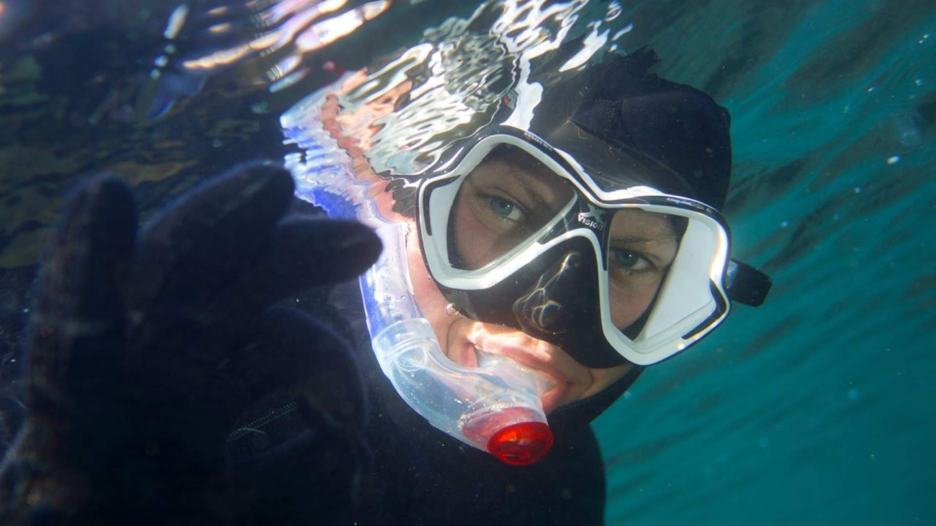 Freediving and Snorkeling with PADI 5 Star Dive Resort