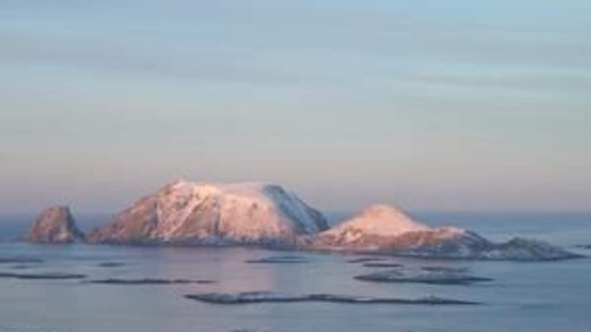 images[1]