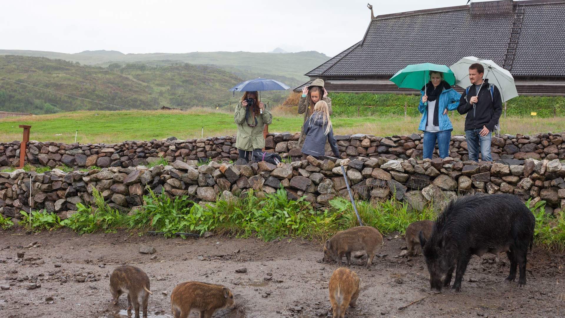 Lofotr Vikingmuseum