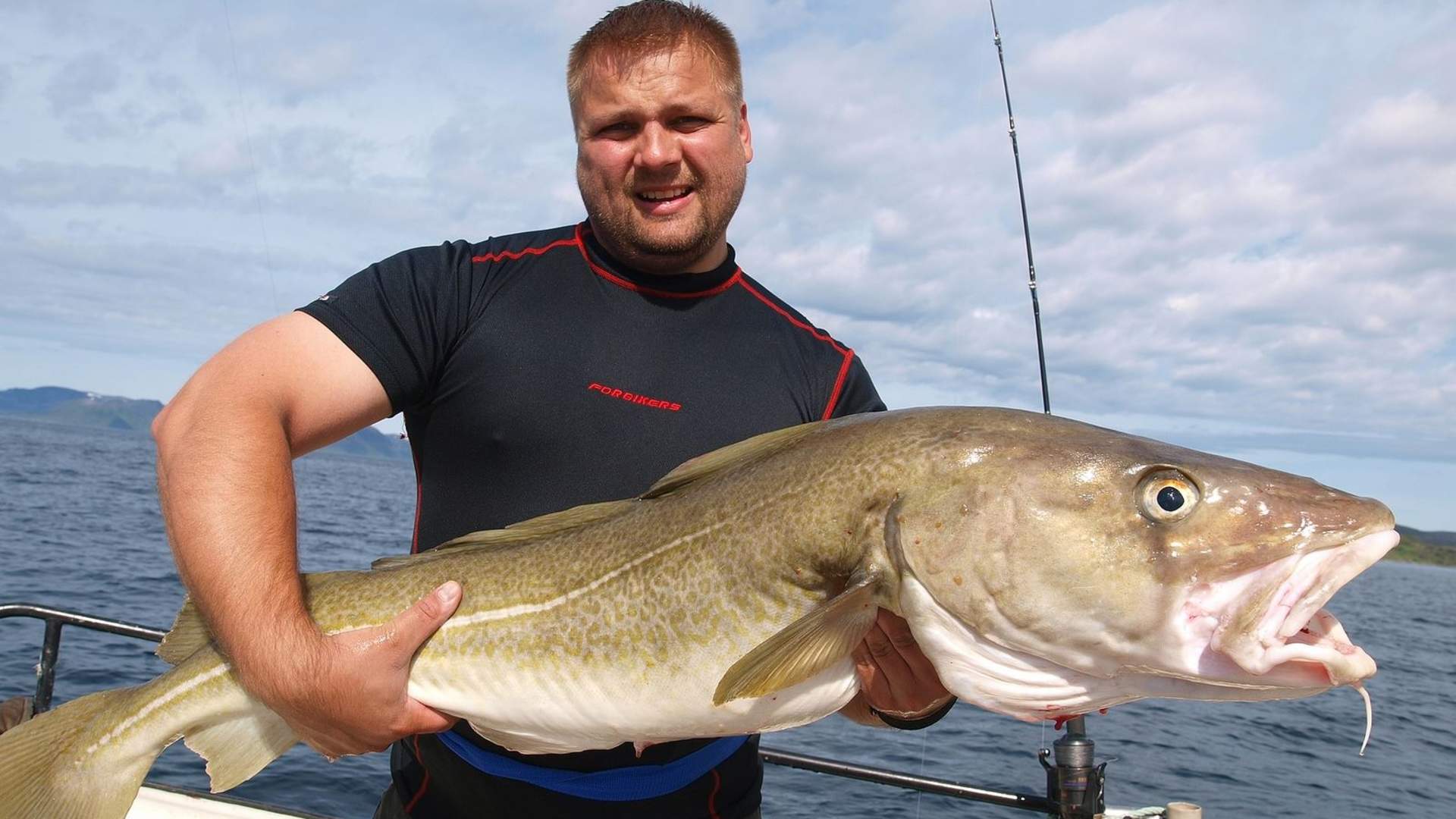 4 Days &#8211; VIP Sailing From Tromsø to Hammerfest