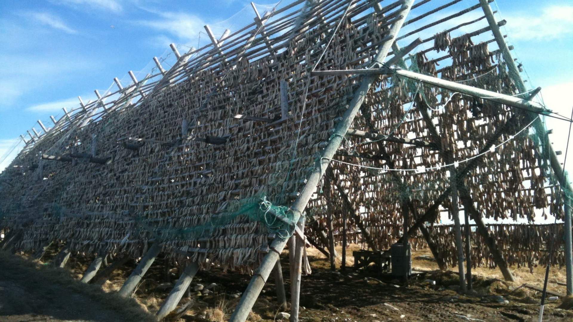 4 Days &#8211; VIP Sailing From Tromsø to Hammerfest