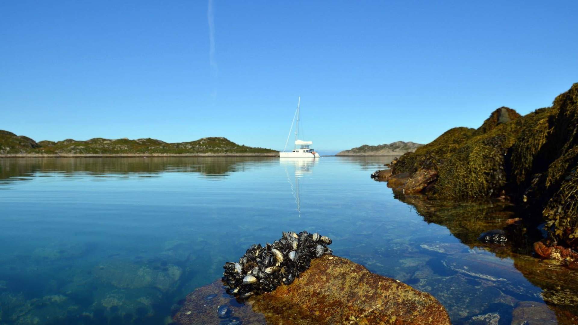 2 Days VIP tour to beautiful Risøy