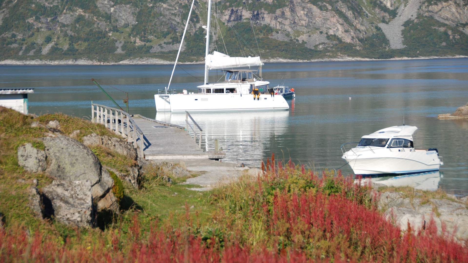 2 Days VIP tour to beautiful Risøy