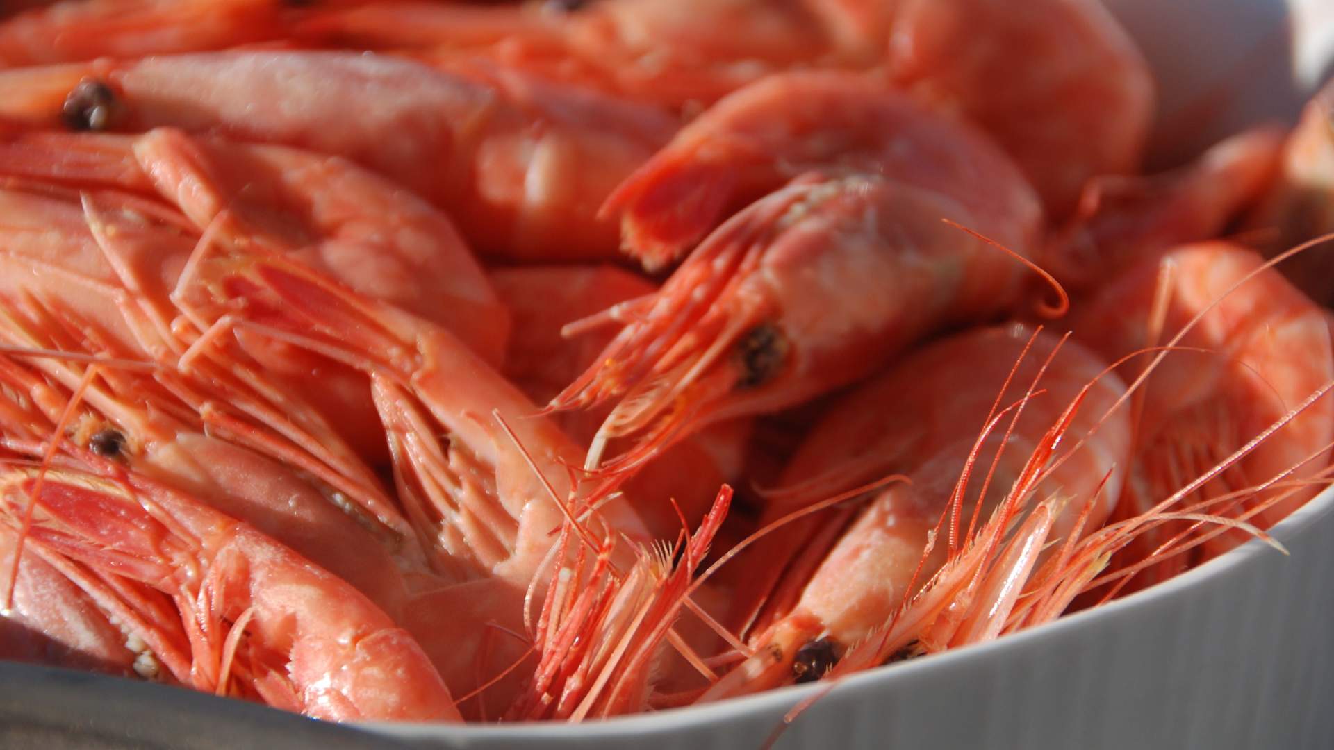 2 Days VIP tour to beautiful Risøy