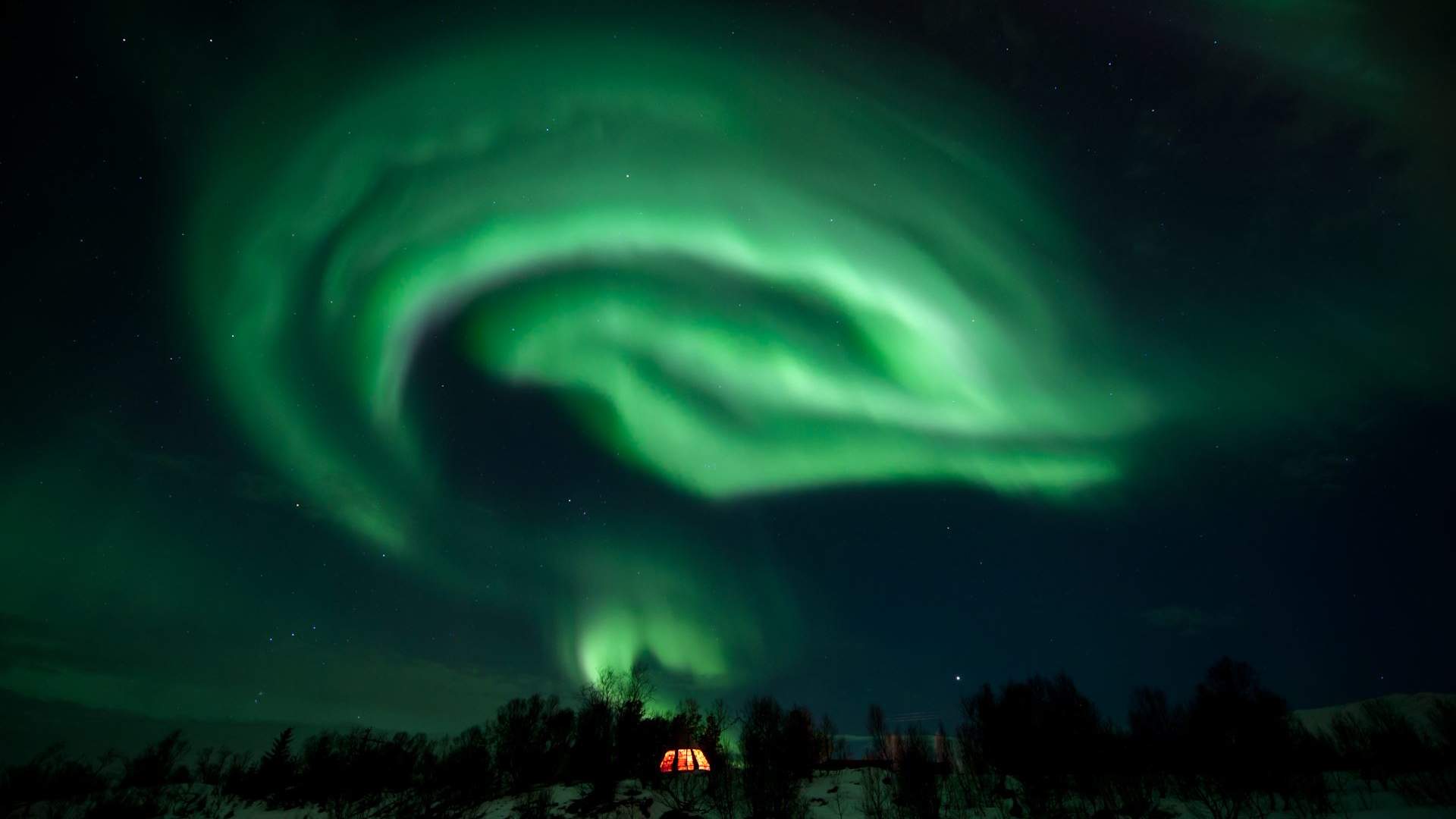 Nordlyscamp og Hundekjøring