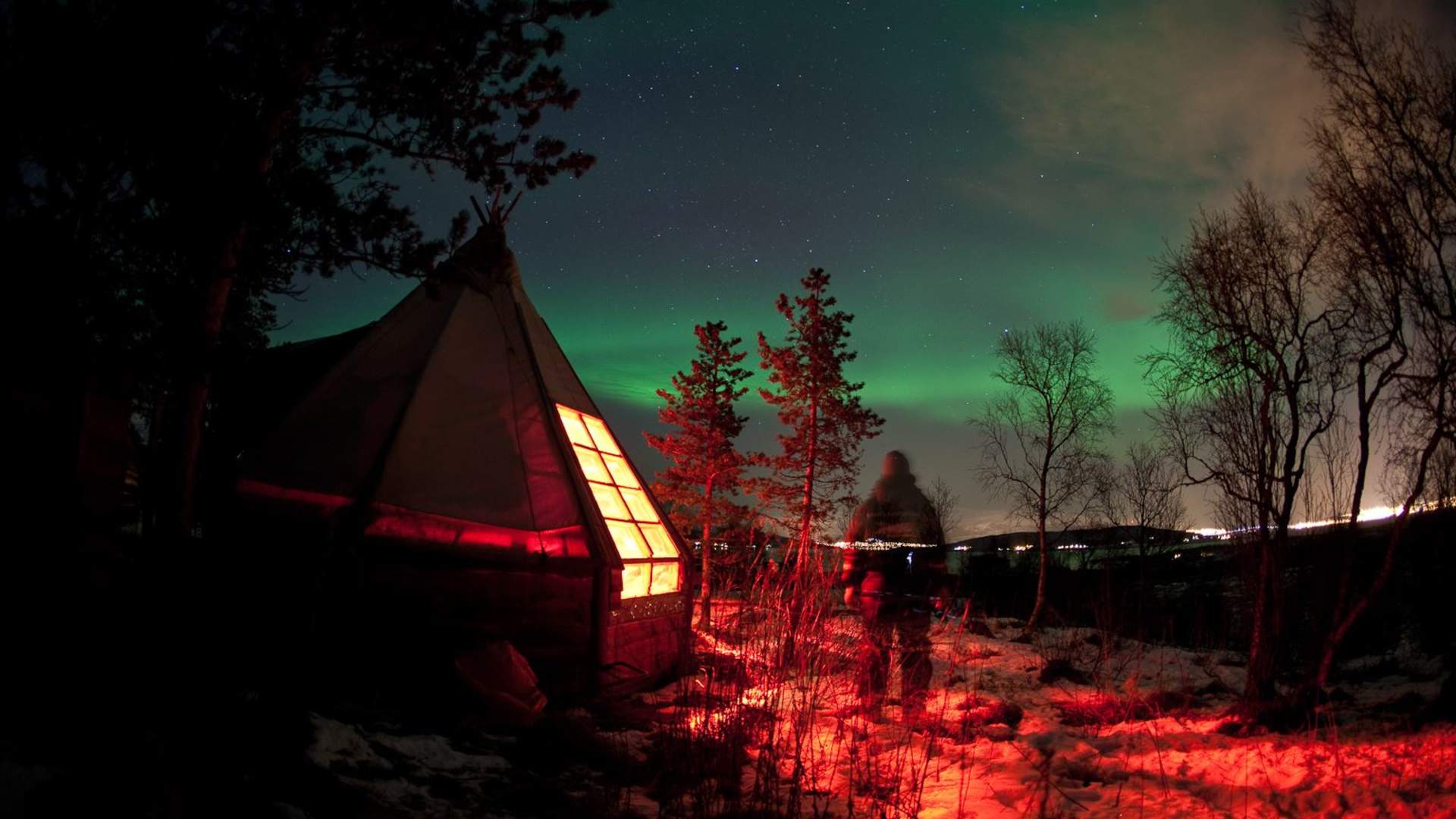 Nordlyscamp og Hundekjøring