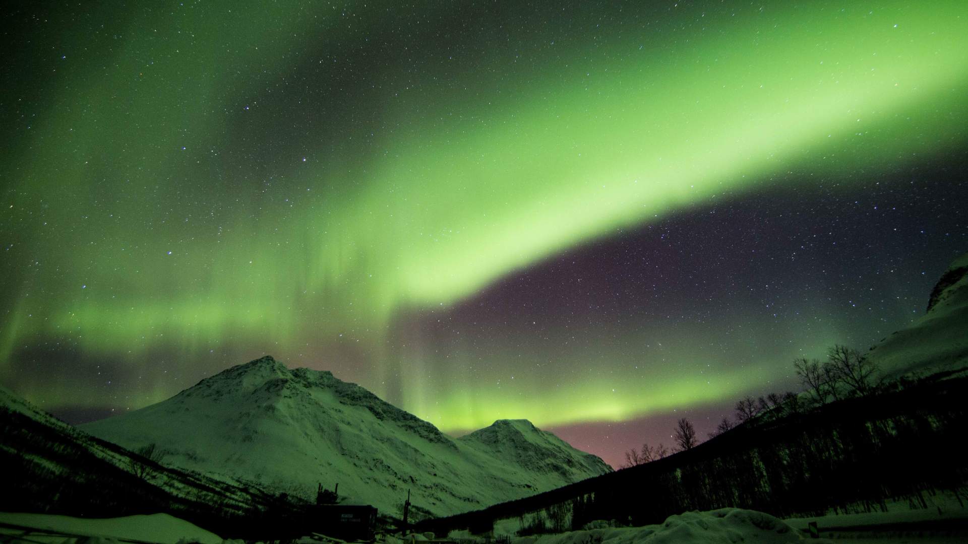 Marianne's Passionate Aurora Borealis Hunt