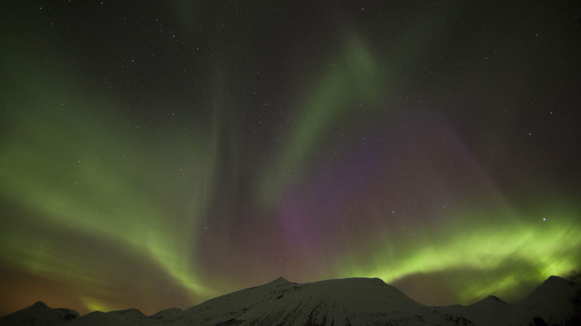 The Dancing Lights