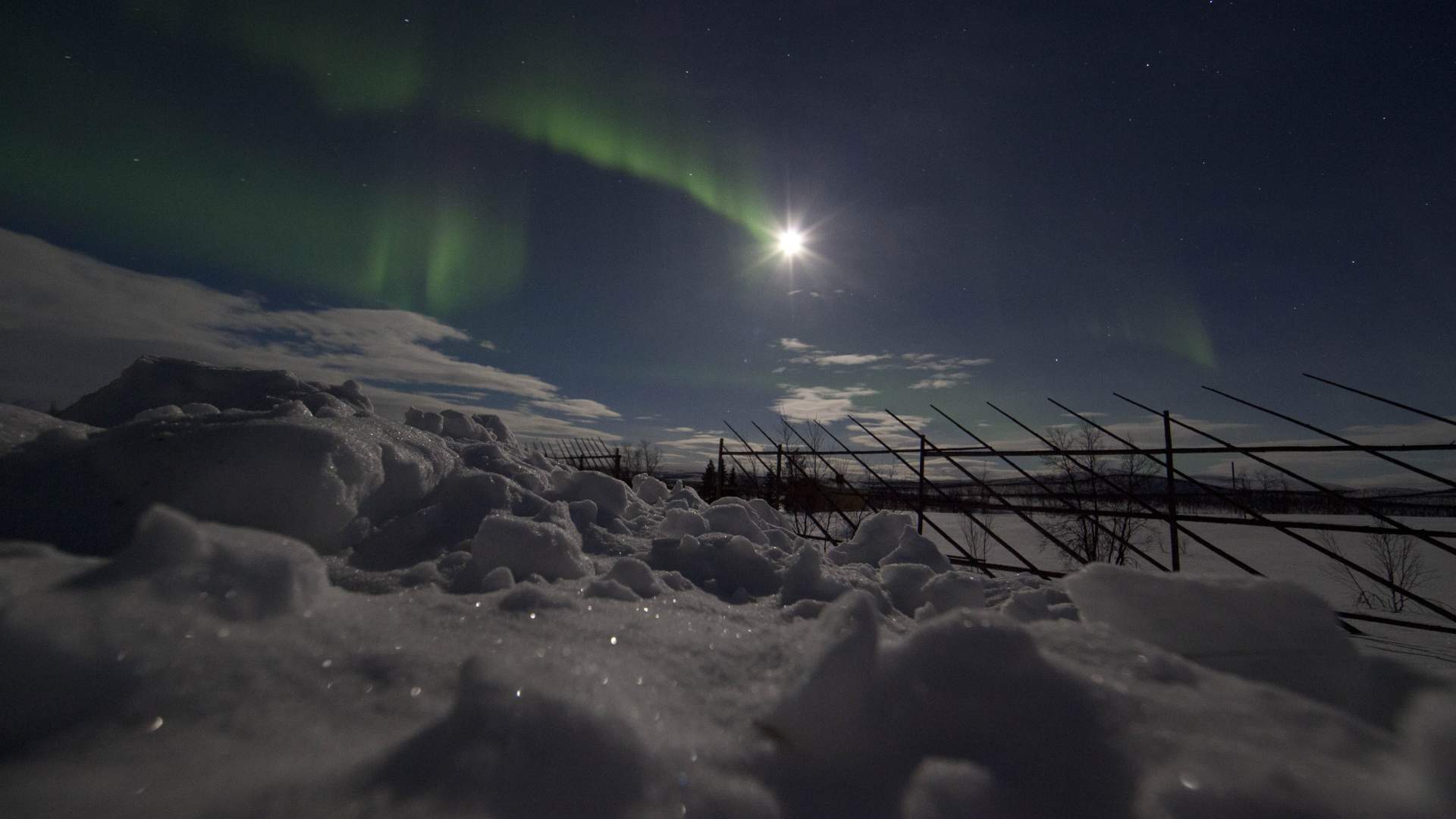 The Dancing Lights