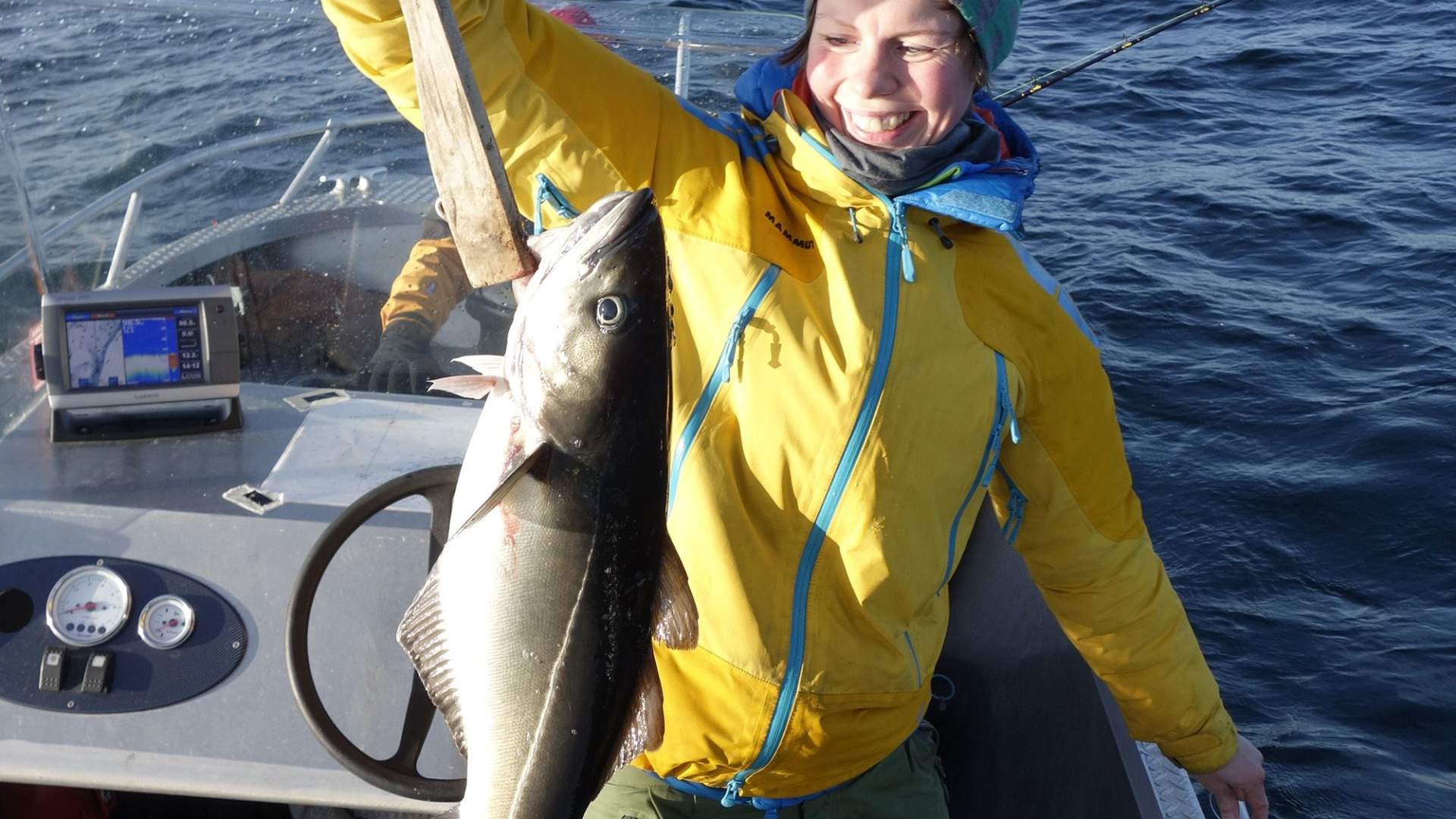 Opplevelser ved Manshausen - hvor hav og fjell møtes
