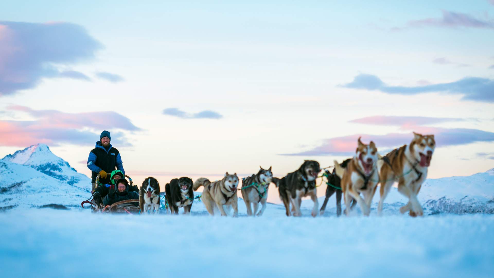 Nordlyscamp og Hundekjøring