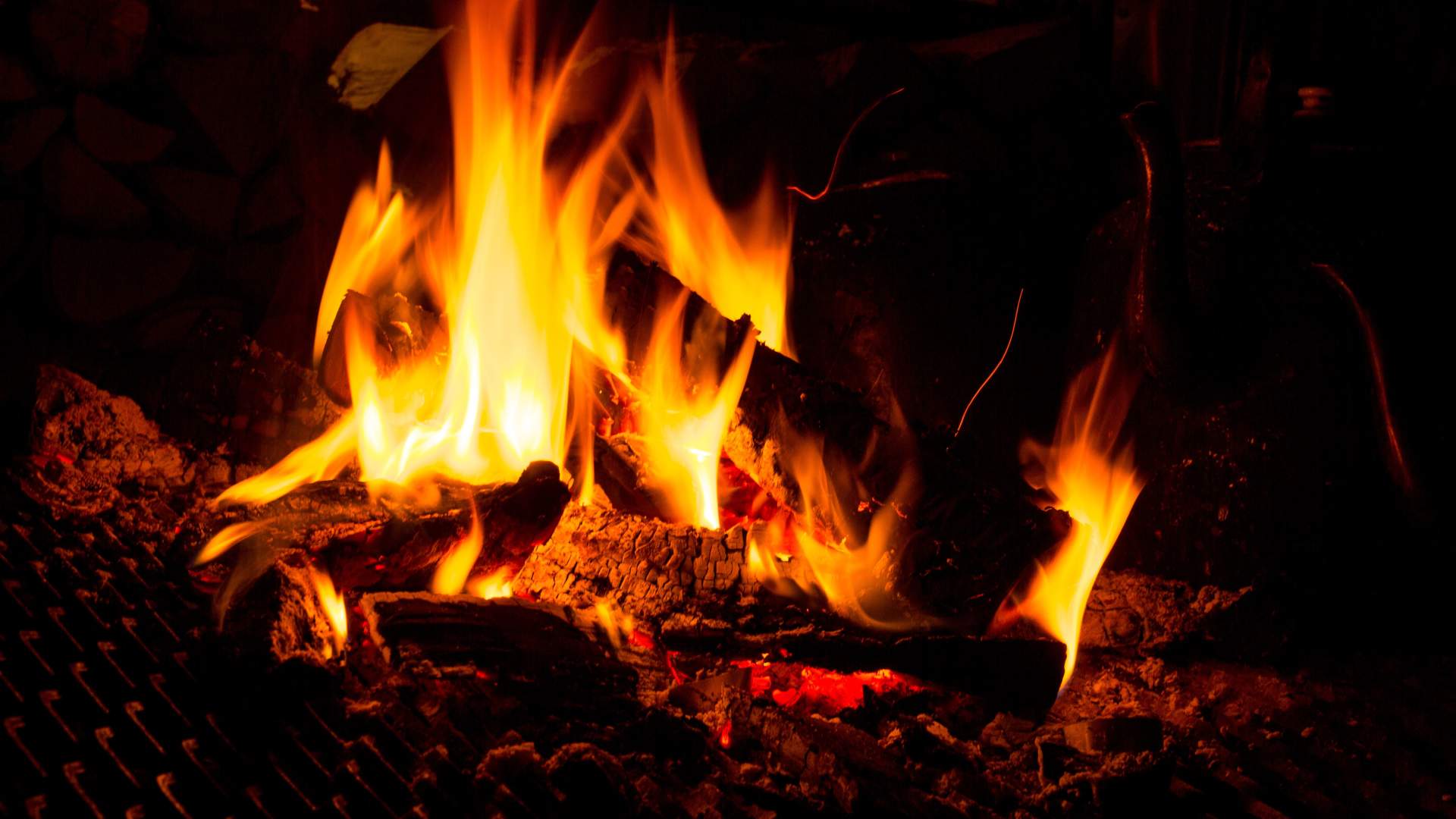 Nordlyscamp og Hundekjøring