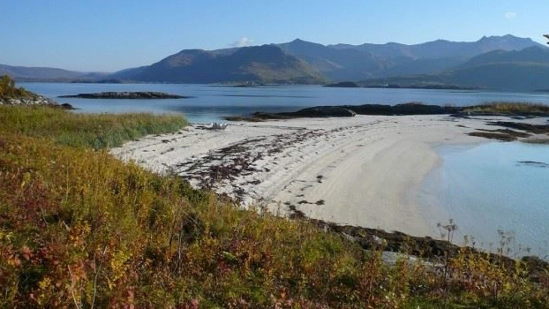 Idylliske strender i Bergsfjorden