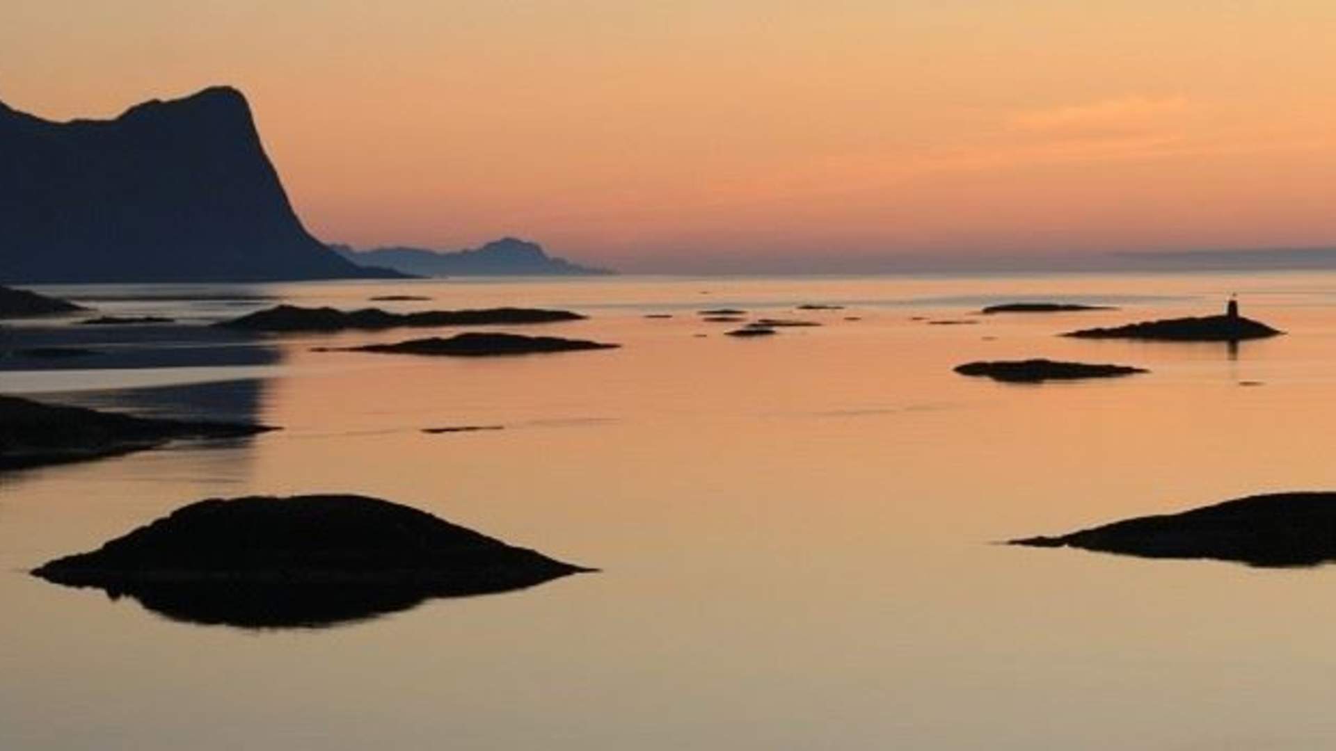 3 hours fjord expedition outer Senja (half day tour)