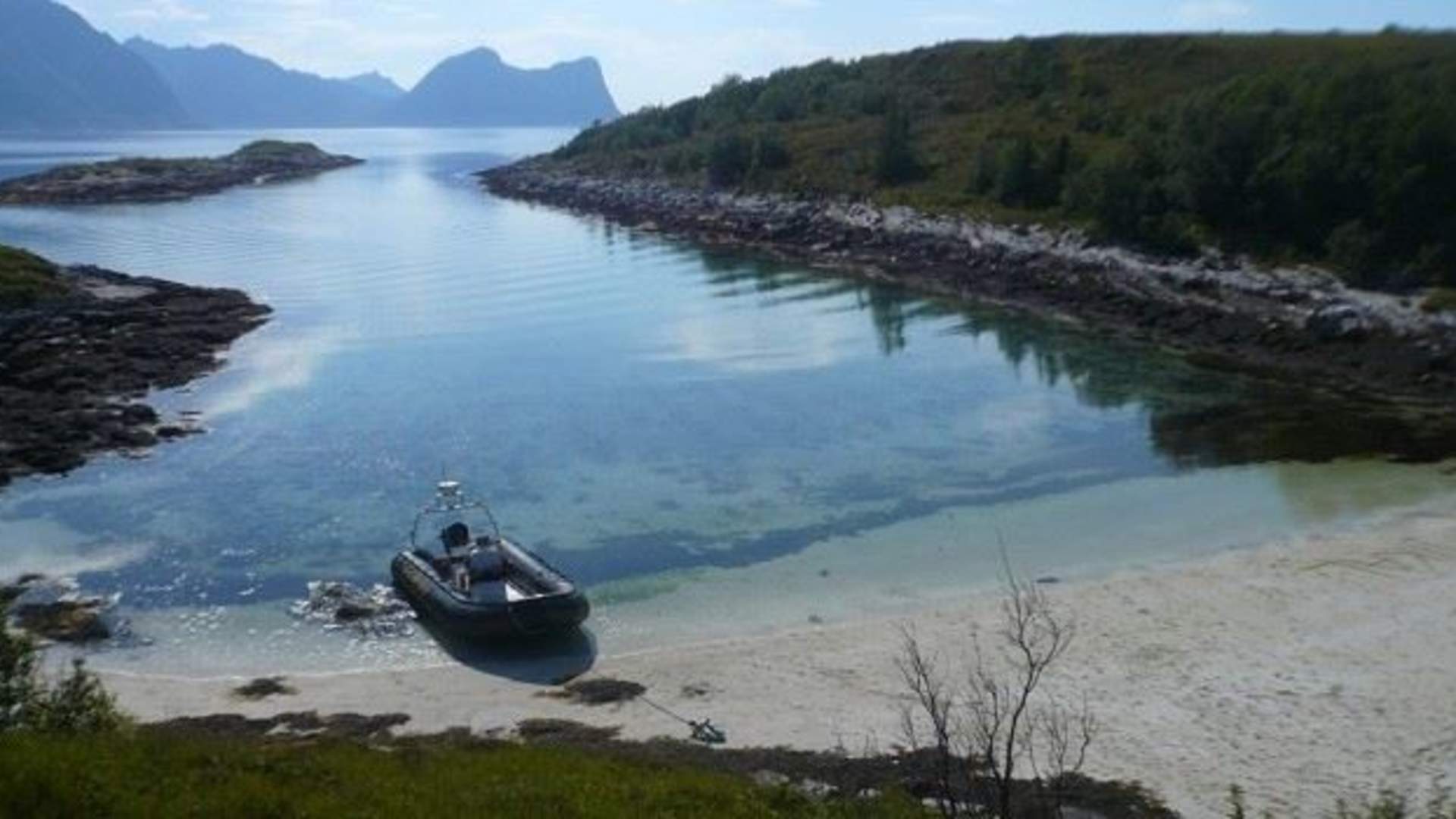 3 hours fjord expedition outer Senja (half day tour)