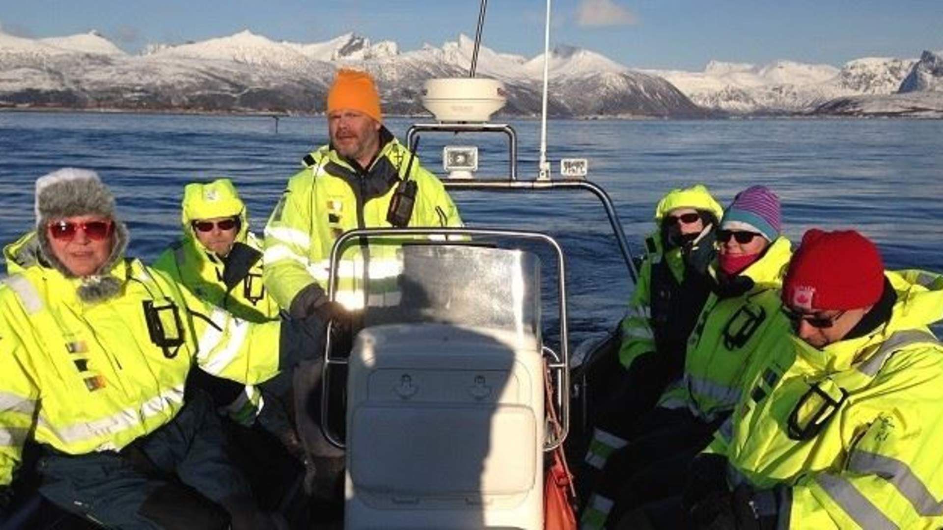 3 hours fjord expedition outer Senja (half day tour)