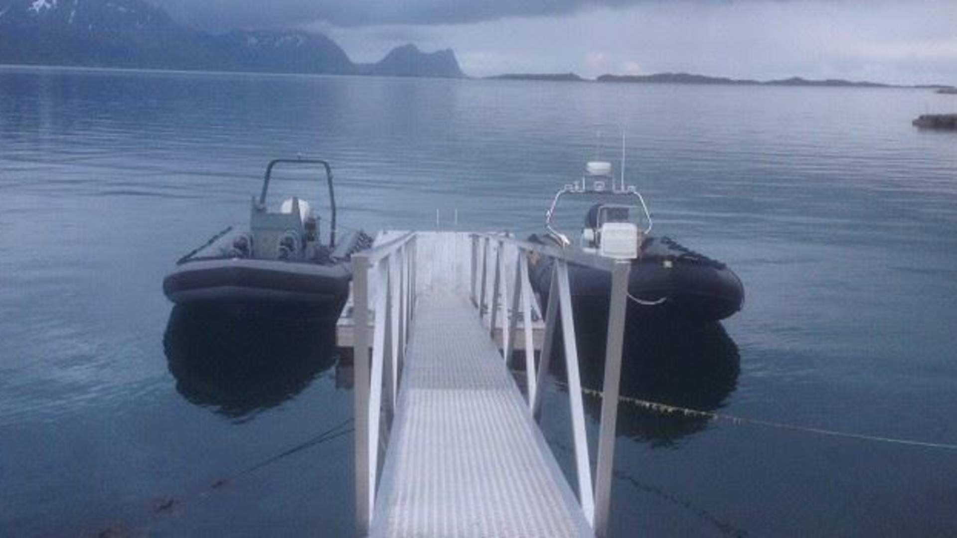 3 hours fjord expedition outer Senja (half day tour)