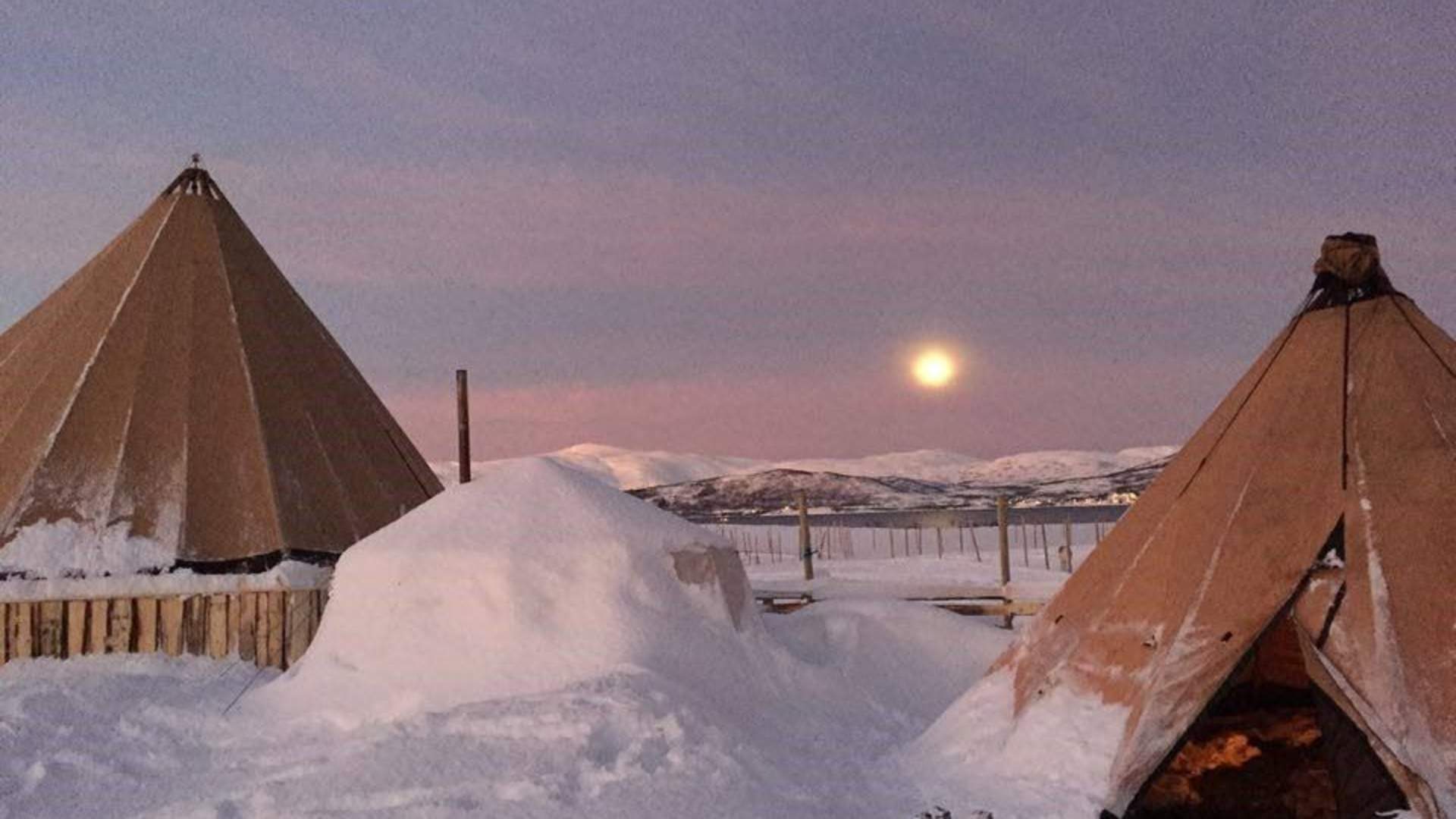 Reindeer Camp Dinner with Chance of Northern Lights