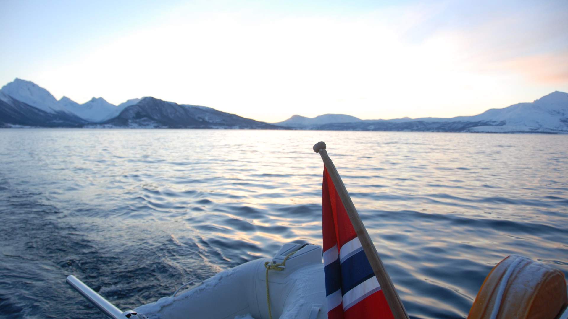 A Beautiful Arctic Fjord Cruise - Sailing tour in Tromsø archipelago