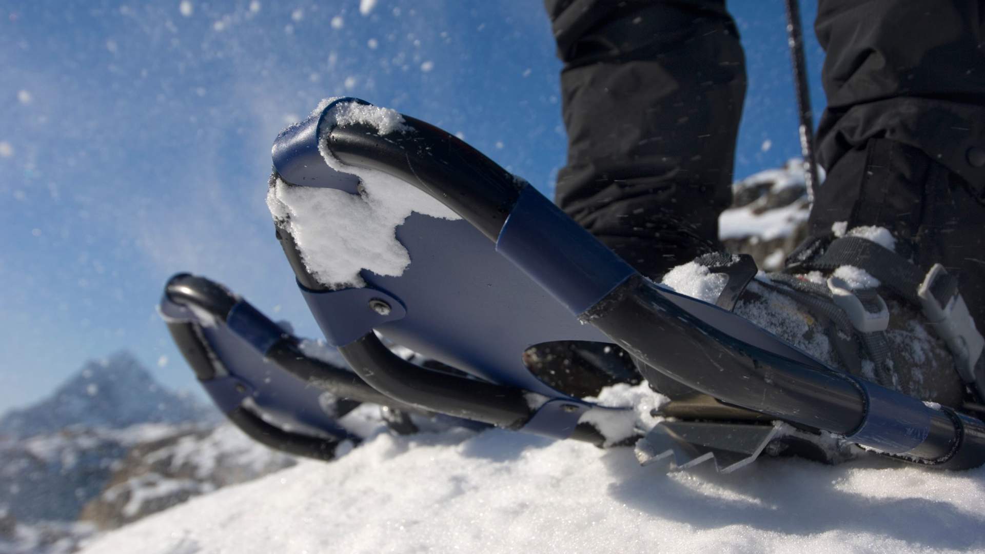 Snowshoe Explorer - guided showshoeing trips