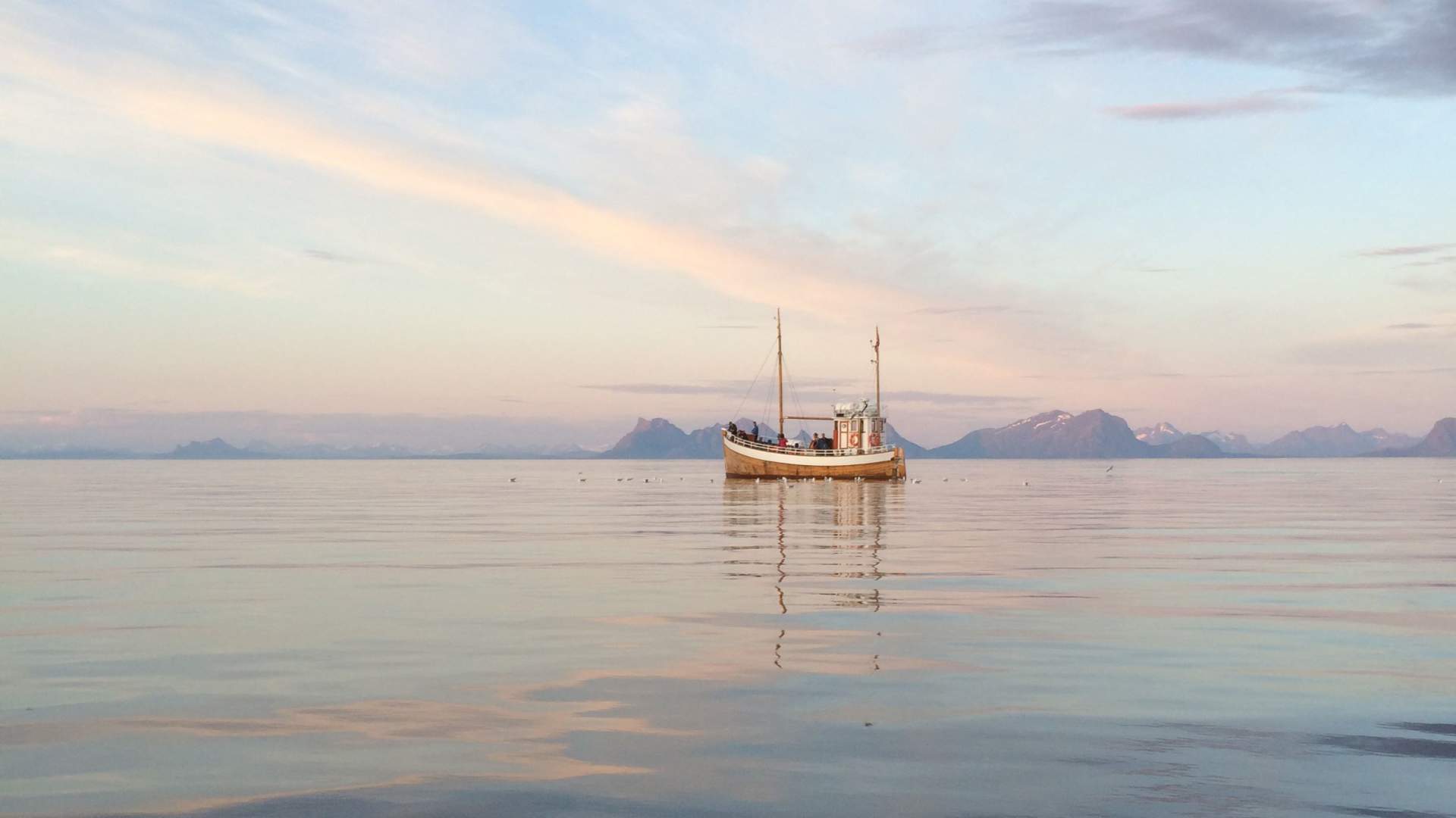 Fishing trip from Svolvær