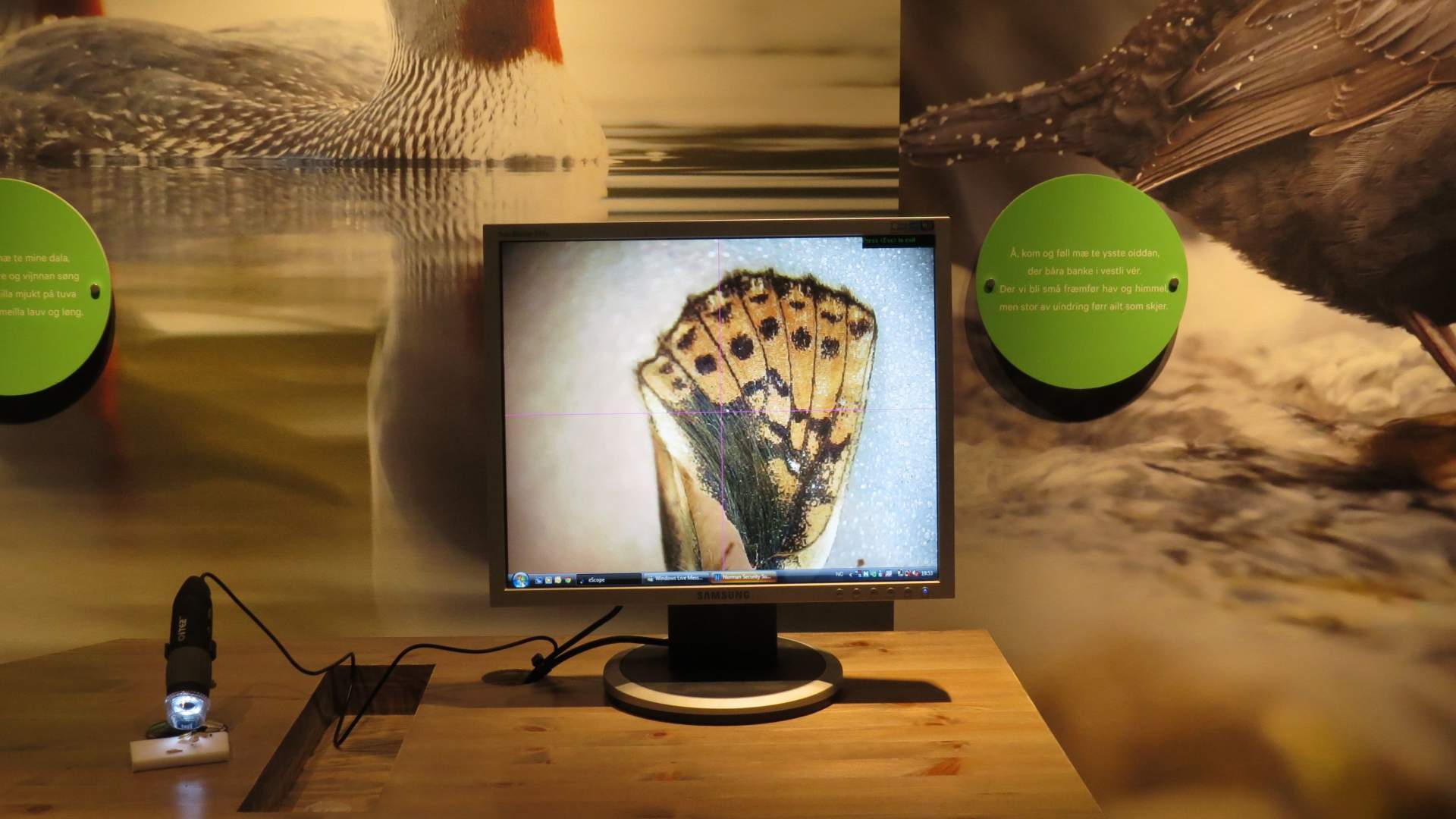 Sážža - Senja nature and culture-center