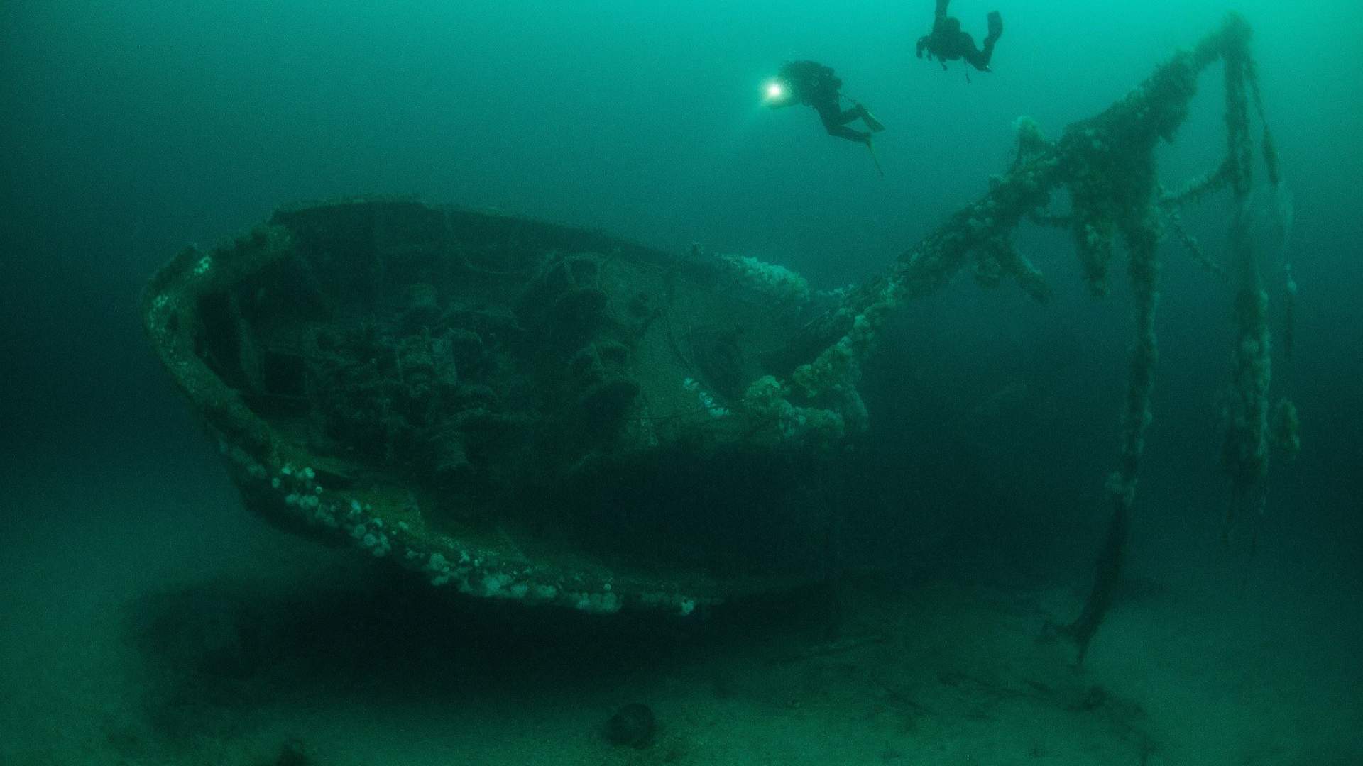 Arktisk dykking med PADI 5-stjerners dykkesenter