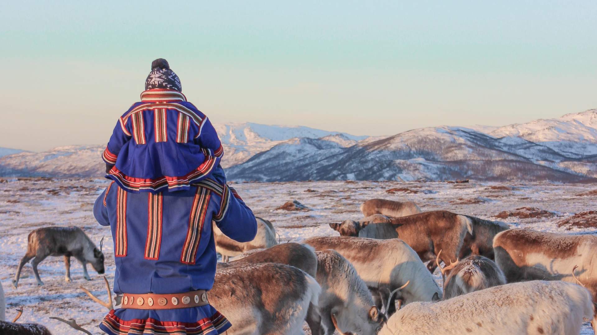 Reindeer Sledding, Reindeer Feeding and Sami Culture