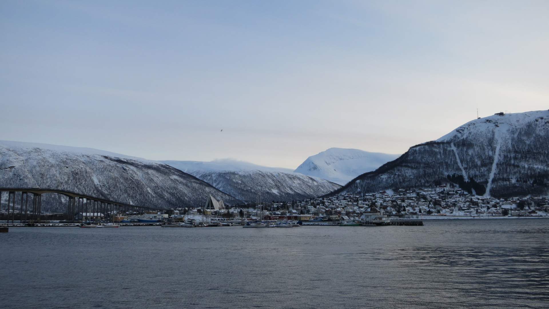 Essential Tromsø: Historial City Walk - Tromsø Budget Tours