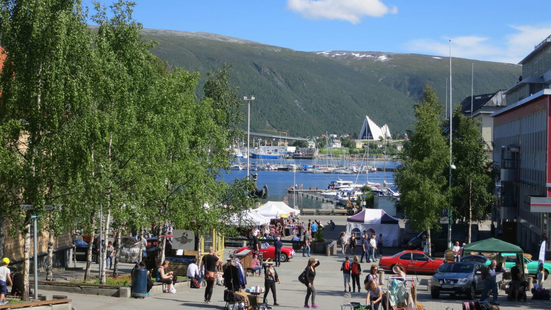 Essential Tromsø: Historial City Walk - Tromsø Budget Tours