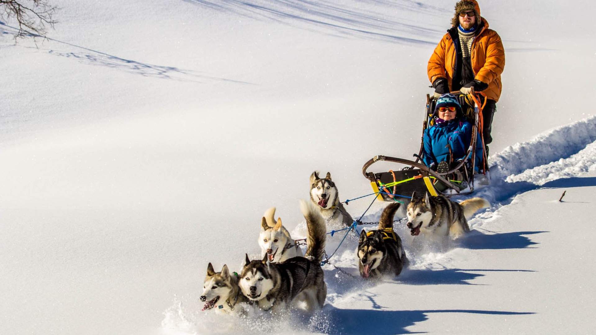 Senja Husky Adventure