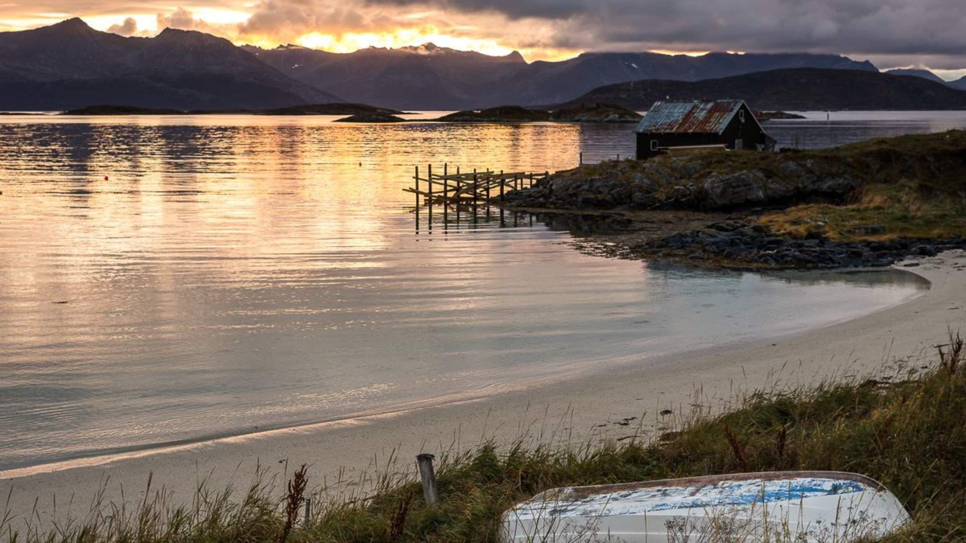 Liten gruppe Arktisk fjordtur