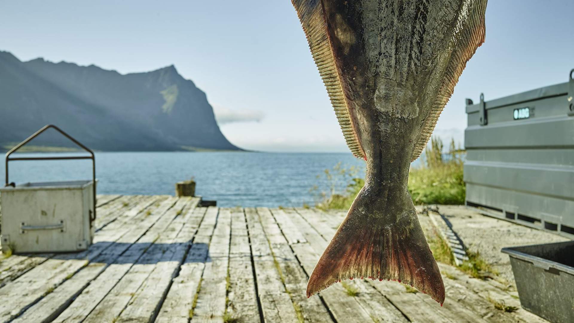 Camp Steinfjord