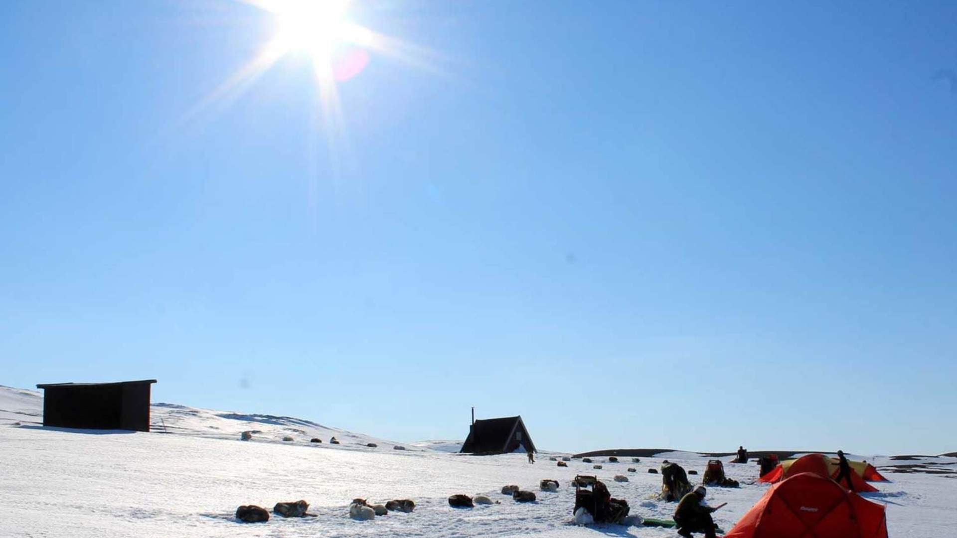 Senja Husky Adventure