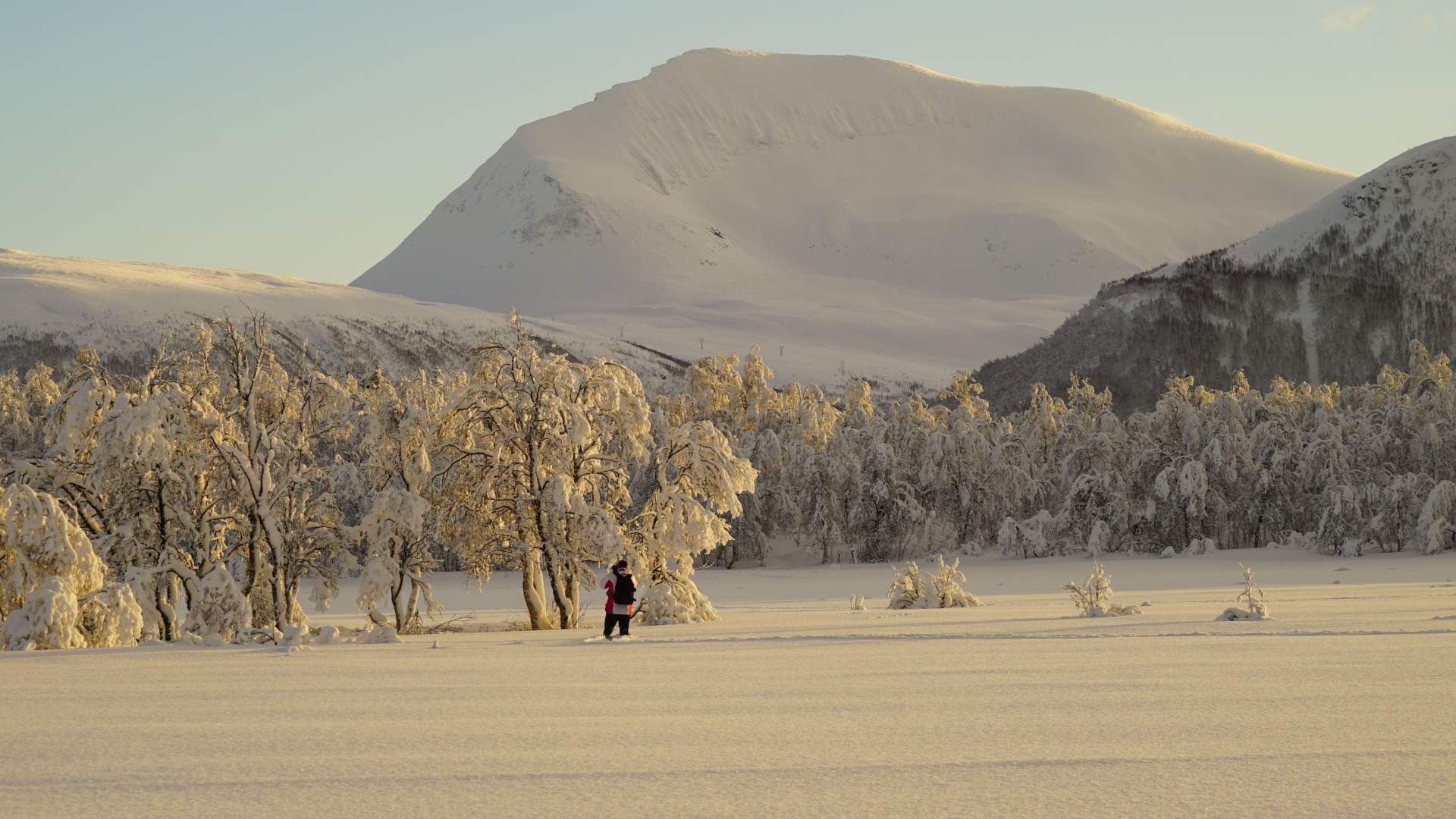 City Sightseing fra Tromsø med vår eco-vennlige Tesla Model X