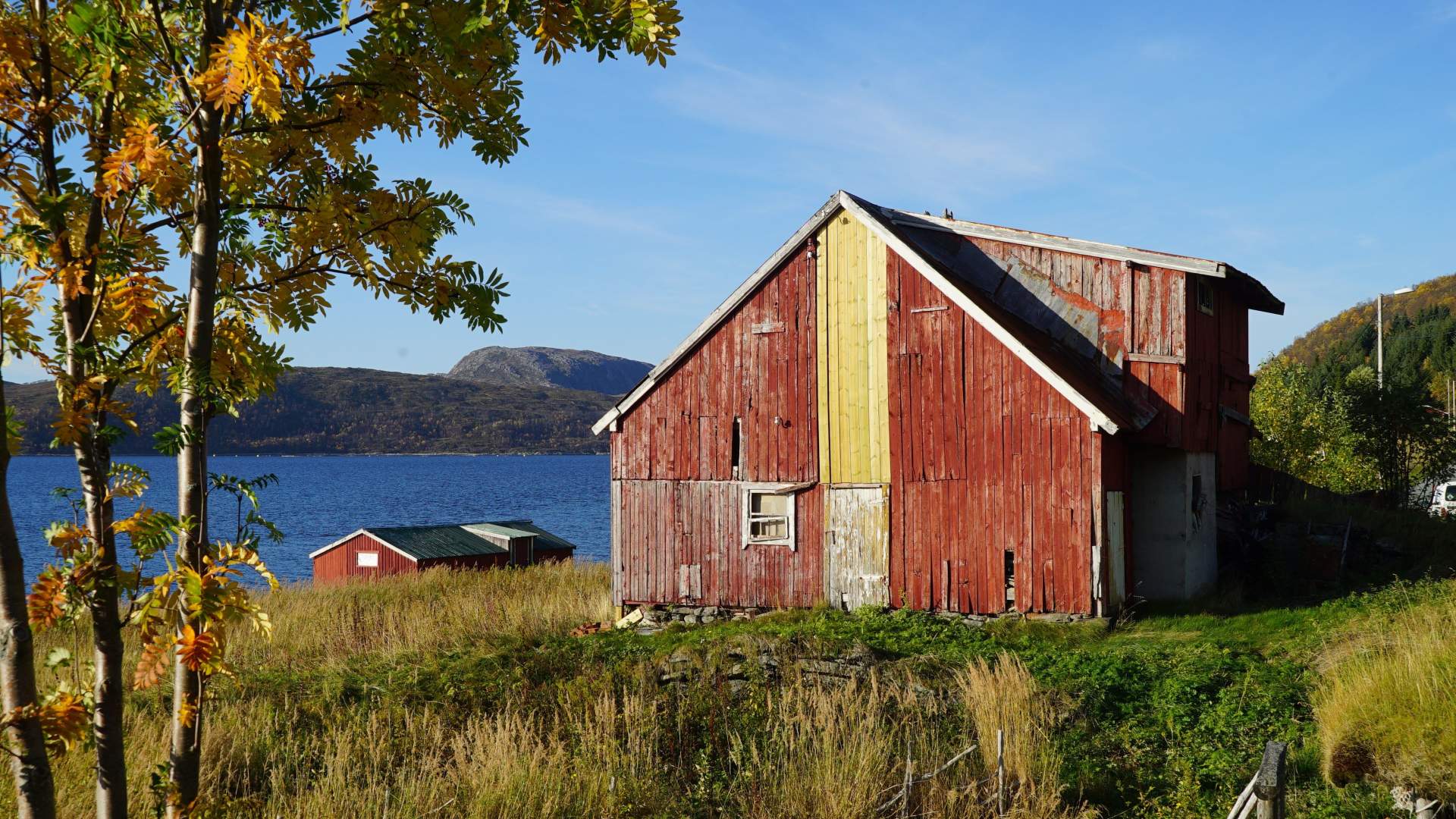 Arctic Fjord Sightseeing from Tromsø with our eco-friendly Tesla Model X